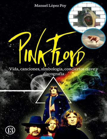 Pink Floyd de Manuel Lopez Poy, portada del libro