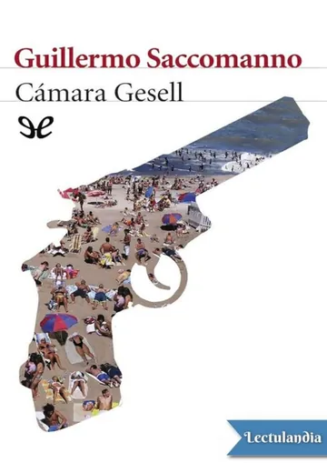 Cámara Gesell de Guillermo Saccomanno, portada del libro