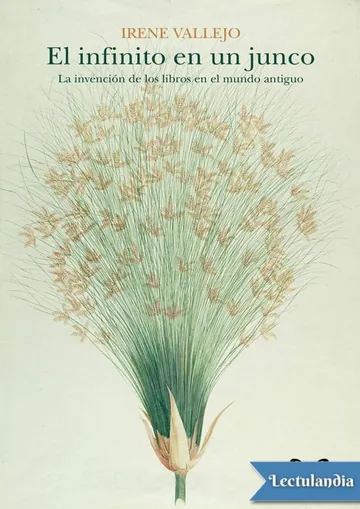 El infinito en un junco de Irene Vallejo, portada del libro