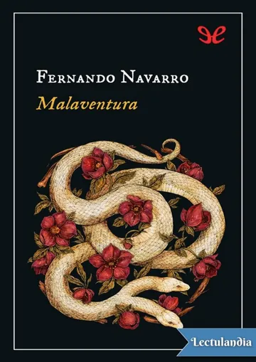 Malaventura de Fernando Navarro, portada del libro