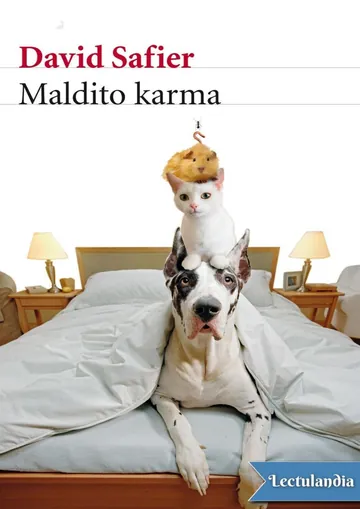 Maldito karma de David Safier, portada del libro
