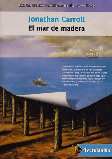 El mar de madera de Jonathan Carroll, portada del libro