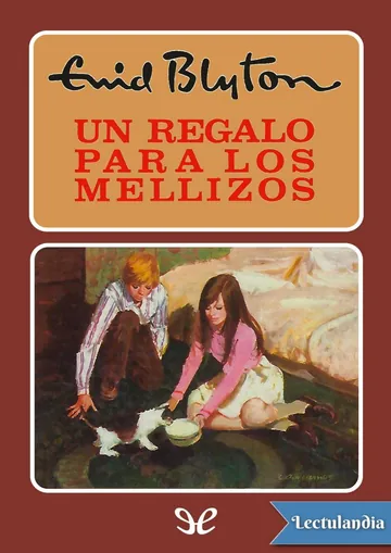 Un regalo para los mellizos de Enid Blyton, portada del libro