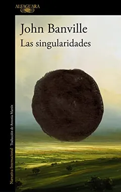 Las singularidades - John Banville