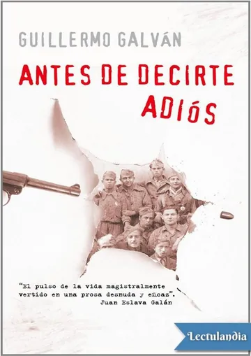 Antes de decirte adiós de Guillermo Galván, portada del libro