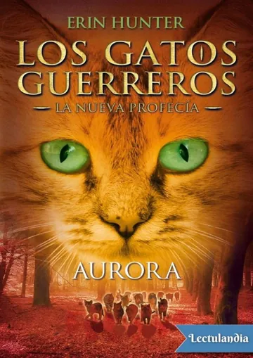 Aurora de Erin Hunter, portada del libro