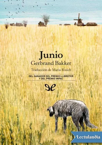 Junio de Gerbrand Bakker, portada del libro