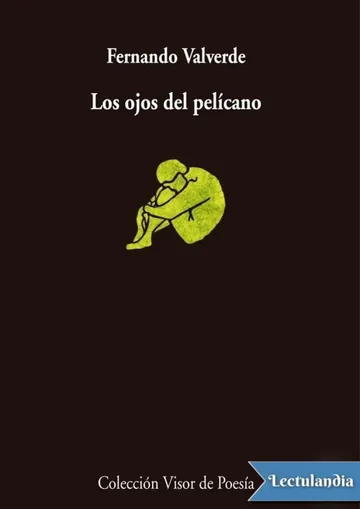 Los ojos del pelícano de Fernando Valverde, portada del libro