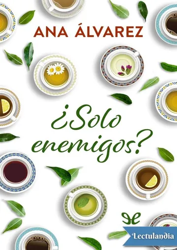 ¿Solo enemigos? de Ana Álvarez, portada del libro