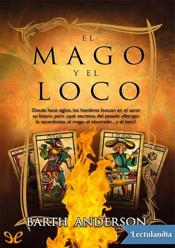 El mago y el loco de Barth Anderson, portada del libro