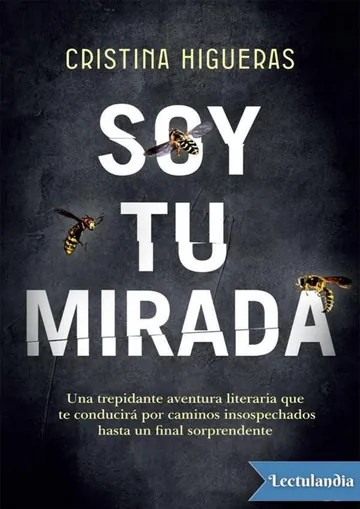 Soy tu mirada de Cristina Higueras, portada del libro