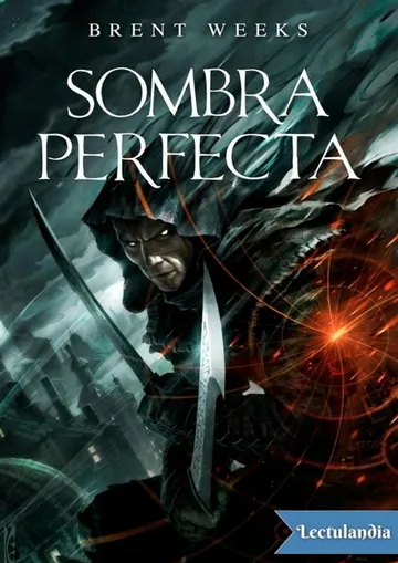 Sombra perfecta de Brent Weeks, portada del libro