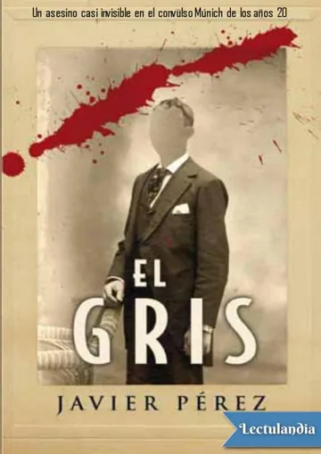 El gris de Javier Pérez Fernández, portada del libro
