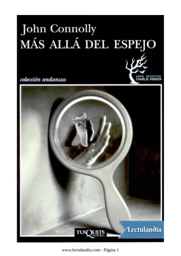 Más allá del espejo de John Connolly, portada del libro
