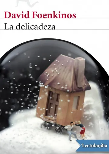 La delicadeza de David Foenkinos, portada del libro