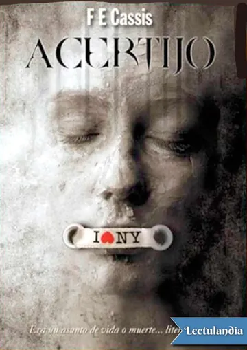 Acertijo de F E Cassis, portada del libro