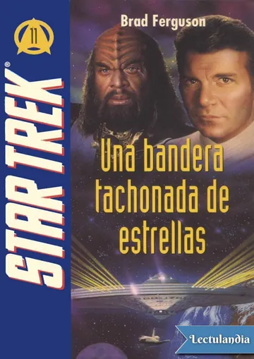 Una bandera tachonada de estrellas de Brad Ferguson, portada del libro