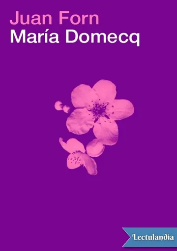 María Domecq de Juan Forn, portada del libro