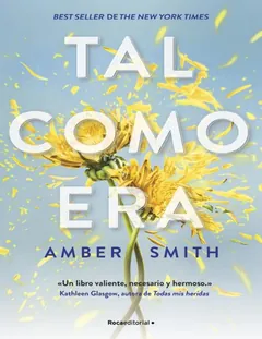 Tal como era - Amber Smith