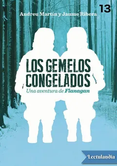 Los gemelos congelados - Andreu Martín