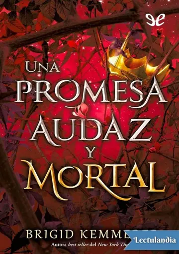 Una promesa audaz y mortal de Brigid Kemmerer, portada del libro