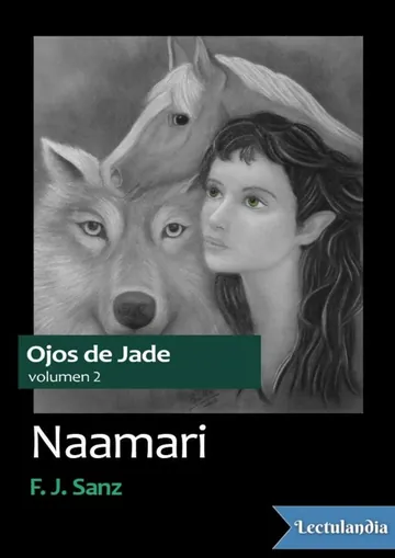 Naamari de F. J. Sanz, portada del libro