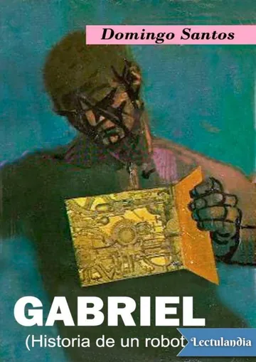 Gabriel de Domingo Santos, portada del libro