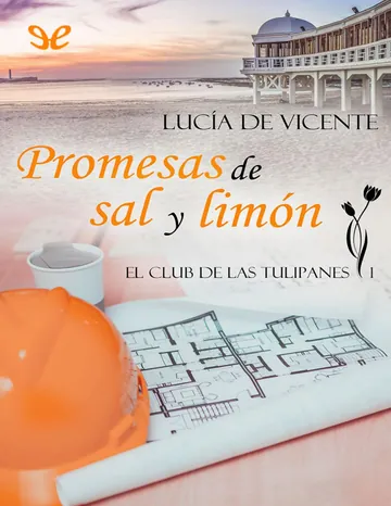 Promesas de sal y limón de Lucía de Vicente Barros, portada del libro