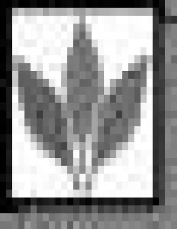 El vatidico 06 -La senda del asesino de Hobb Robin, portada del libro