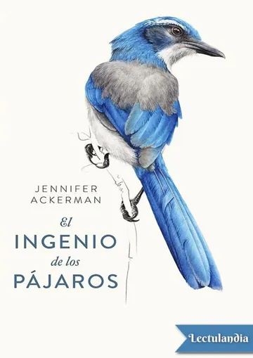 El ingenio de los pájaros de Jennifer Ackerman, portada del libro