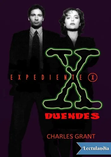Duendes de Charles Grant, portada del libro