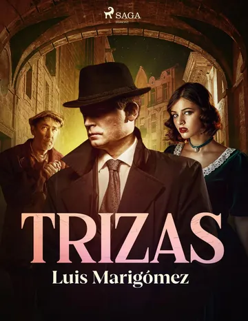Trizas de Luis Marigómez, portada del libro