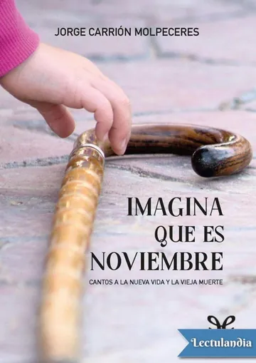 Imagina que es Noviembre de Jorge Carrión Molpeceres, portada del libro