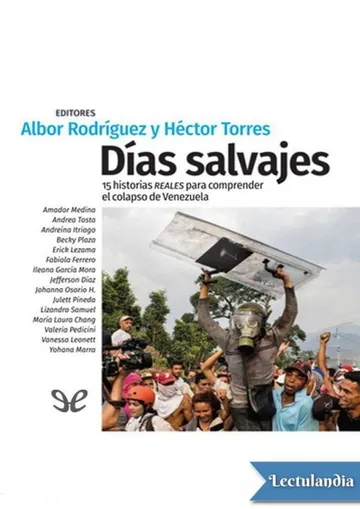 Días salvajes de AA. VV., portada del libro