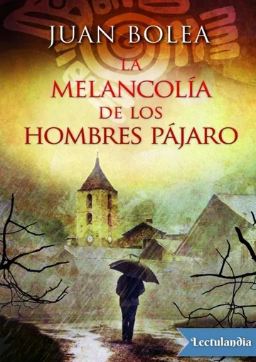 La melancolía de los hombres pájaro de Juan Bolea, portada del libro