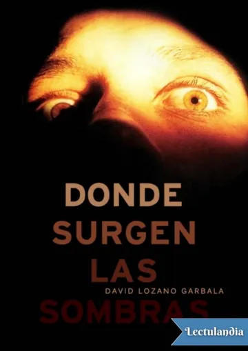 Donde surgen las sombras de David Lozano Garbala, portada del libro
