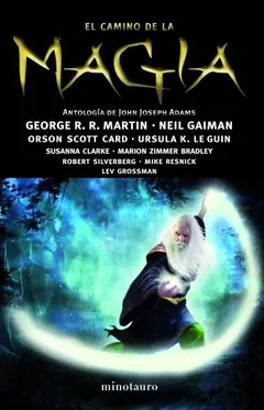 El camino de la magia - AA. VV.