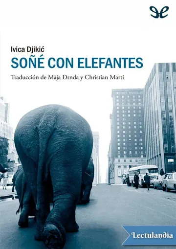 Soñé con elefantes de Ivica Djikic, portada del libro