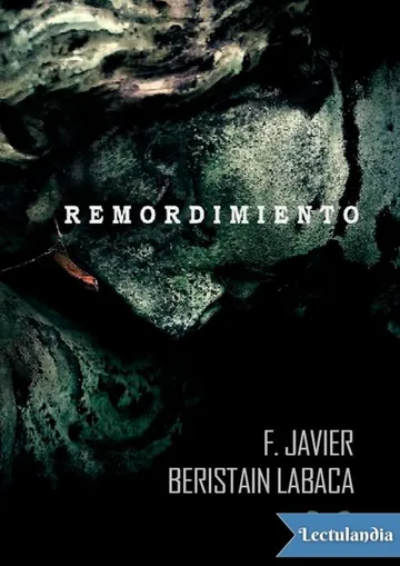 Remordimiento de F. Javier Beristain Labaca, portada del libro