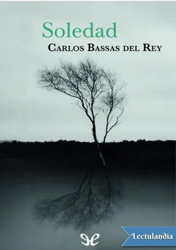 Soledad de Carlos Bassas, portada del libro