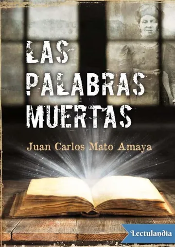 Las palabras muertas de Juan Carlos Mato Amaya, portada del libro