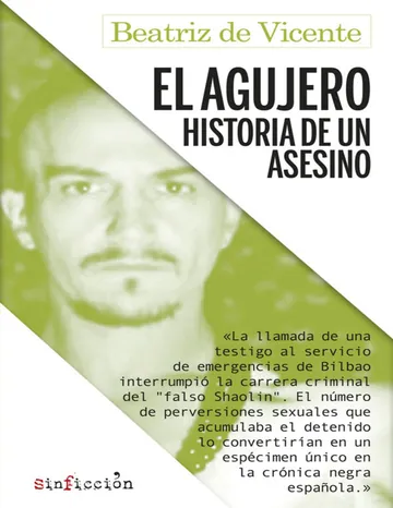 El agujero. Historia de un asesino de Beatriz de Vicente, portada del libro