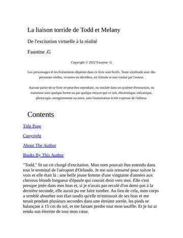 La liaison torride de Todd et Melany: De l'excitation virtuelle à la réalité (French Edition) de Faustine G, couverture du livre