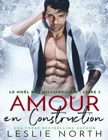 Le Noël des Milliardaires T3 Amour en Construction de Leslie North, couverture du livre