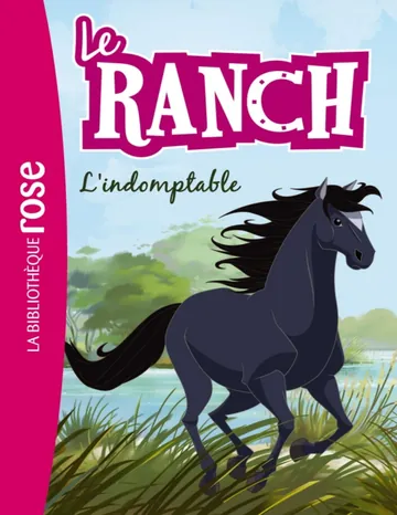 L'indomptable de Christelle Chatel, couverture du livre