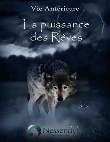 La puissance des rêves de Nessendyl, couverture du livre