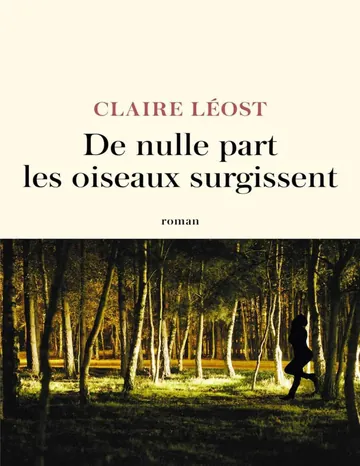De nulle part les oiseaux surgissent de Claire Léost, couverture du livre