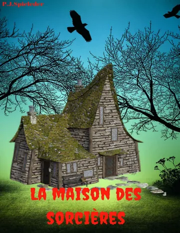 La maison des sorcières de Philipp Spieleder, couverture du livre
