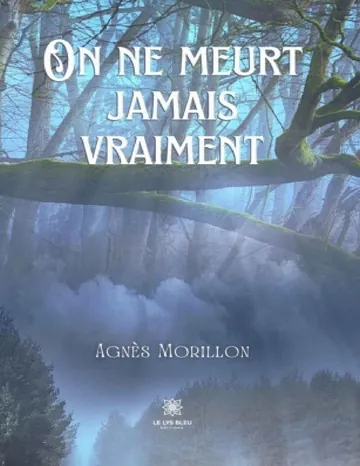 On ne meurt jamais vraiment d’Agnès Morillon, couverture du livre
