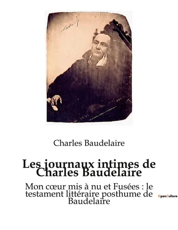 Journaux intimes de Charles Baudelaire, couverture du livre